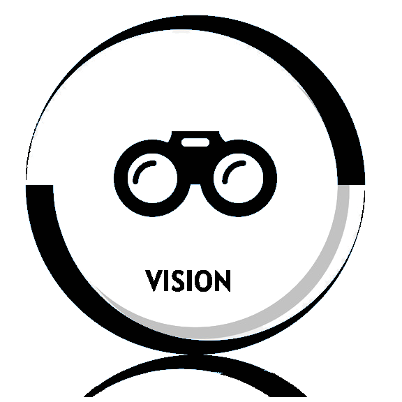 vision